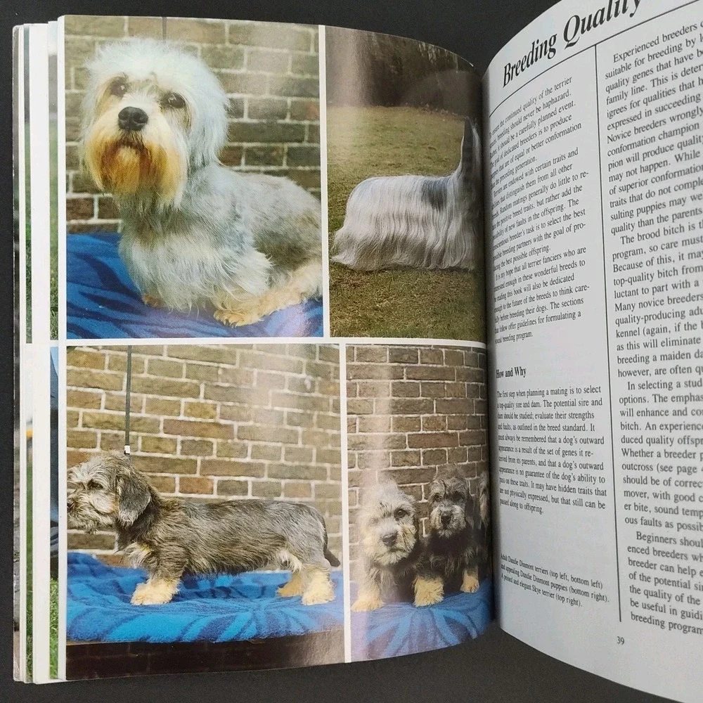 N/A ✅🐶📕the new